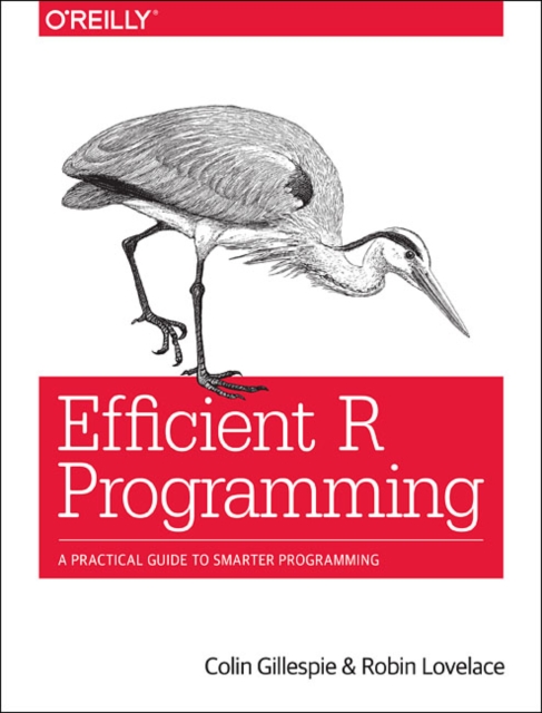 Efficient R Programming, Paperback / softback Book