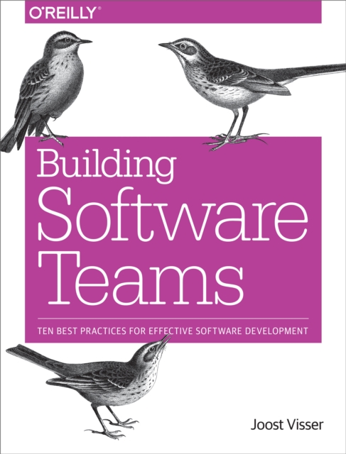 Building Software Teams : Ten Best Practices for Effective Software Development, PDF eBook