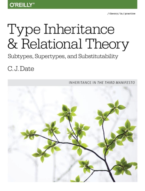 Type Inheritance and Relational Theory, Paperback / softback Book