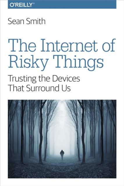 The Internet of Risky Things : Trusting the Devices That Surround Us, EPUB eBook