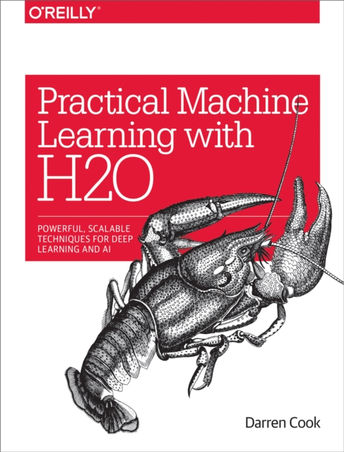 Practical Machine Learning with H2O : Powerful, Scalable Techniques for Deep Learning and AI, PDF eBook
