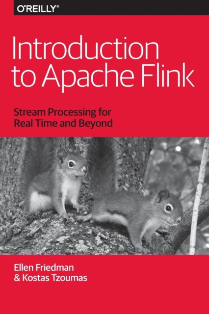 Introduction to Apache Flink, Paperback / softback Book