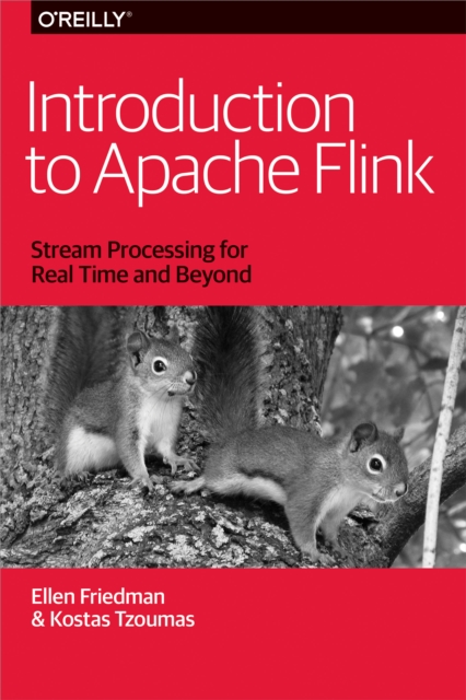 Introduction to Apache Flink : Stream Processing for Real Time and Beyond, PDF eBook
