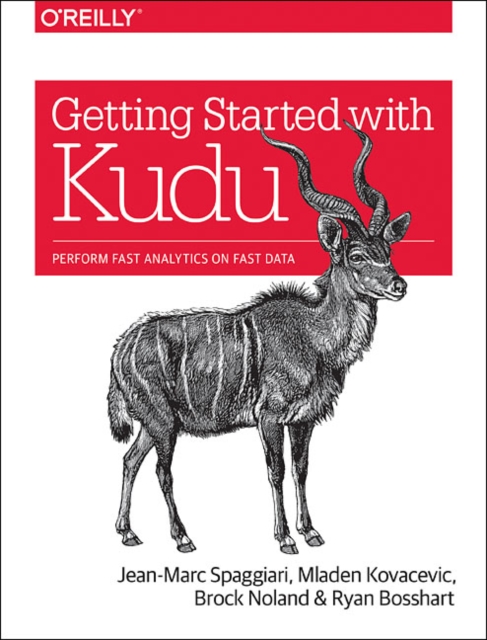 Getting Started with Kudu : Perform Fast Analytics on Fast Data, Paperback / softback Book