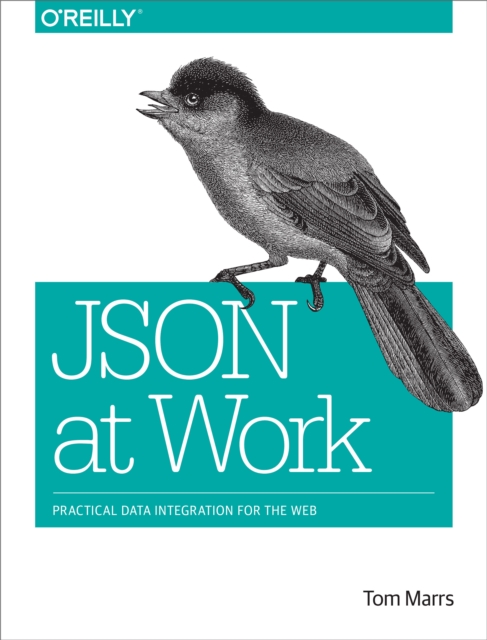 JSON at Work : Practical Data Integration for the Web, EPUB eBook