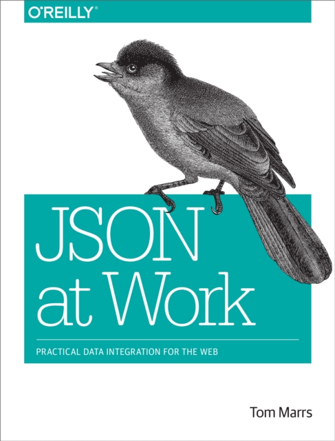 JSON at Work : Practical Data Integration for the Web, PDF eBook