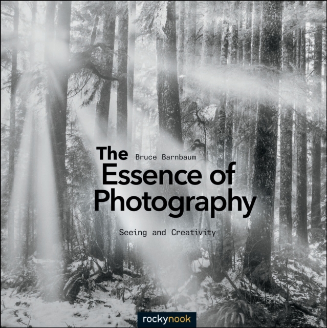 The Essence of Photography : Seeing and Creativity, PDF eBook