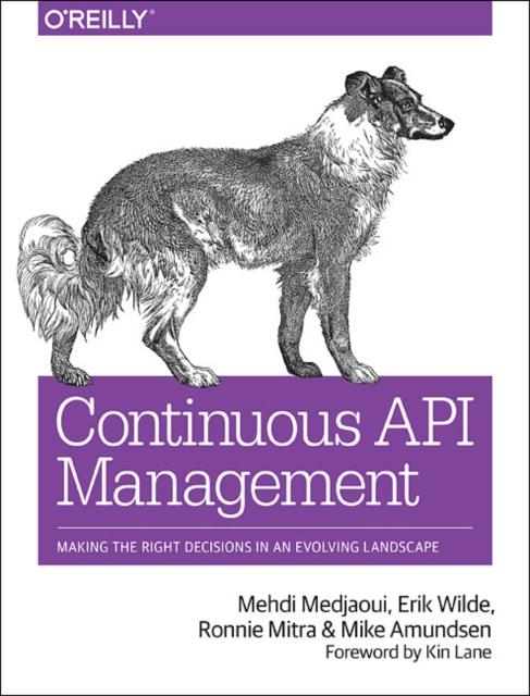 Continuous API Management : Make the Right Decisions in an Evolving Landscape, Paperback / softback Book