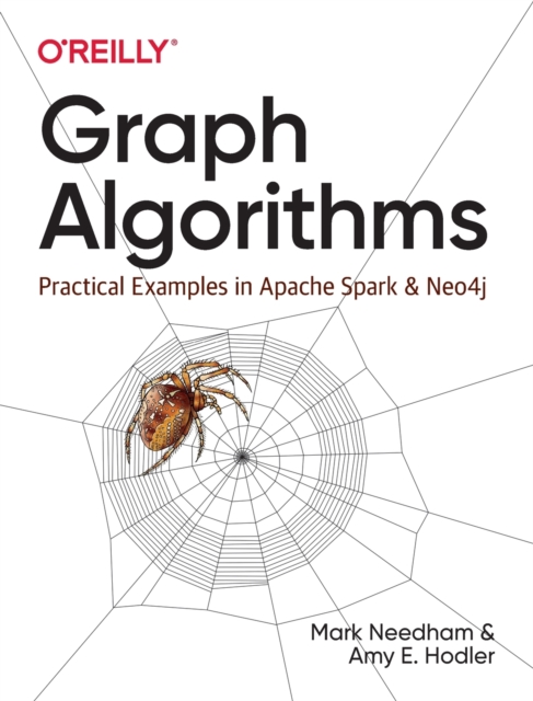 Graph Algorithms : Practical Examples in Apache Spark and Neo4j, Paperback / softback Book