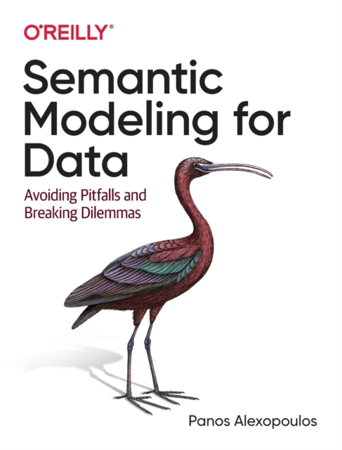 Semantic Modeling for Data : Avoiding Pitfalls and Breaking Dilemmas, Paperback / softback Book