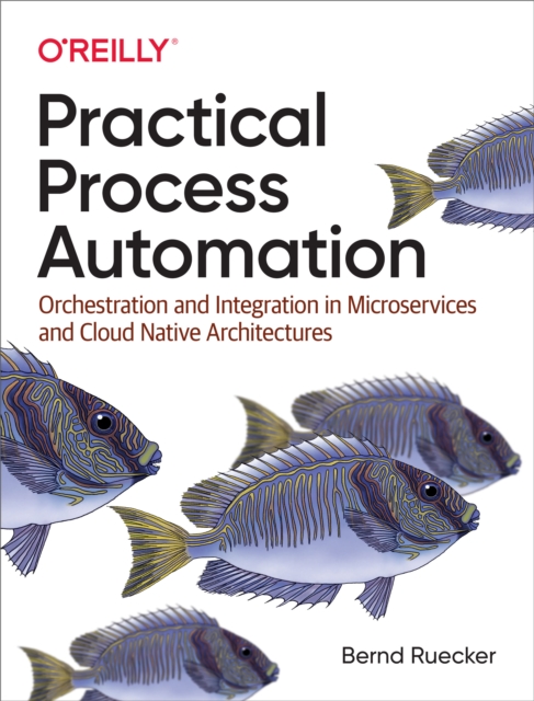 Practical Process Automation, EPUB eBook