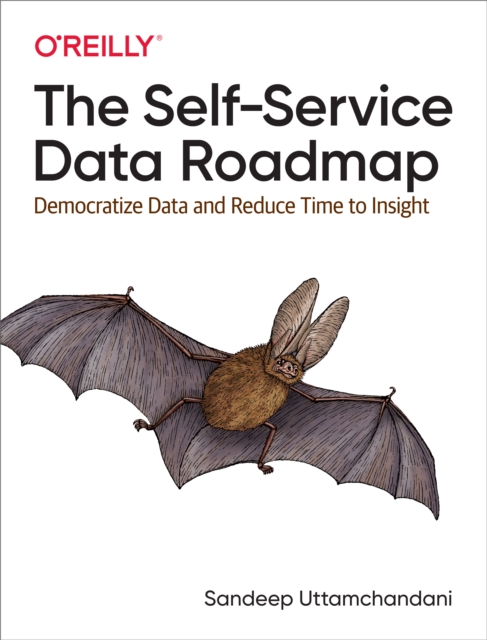 The Self-Service Data Roadmap, EPUB eBook