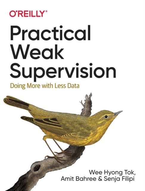 Practical Weak Supervision : Doing More with Less Data, Paperback / softback Book