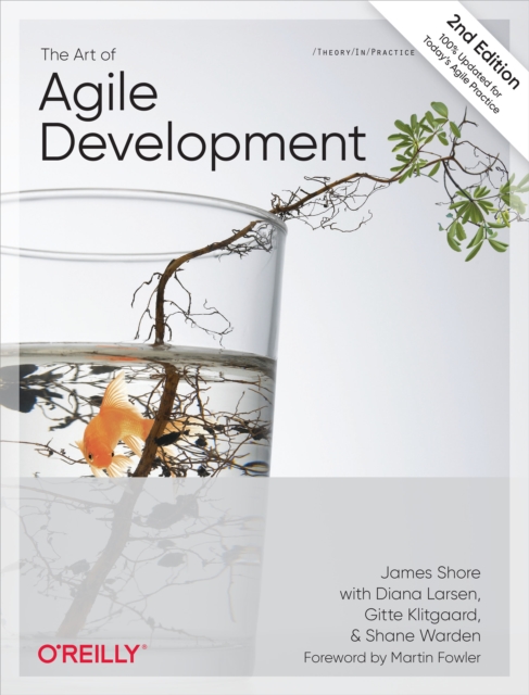 The Art of Agile Development, EPUB eBook