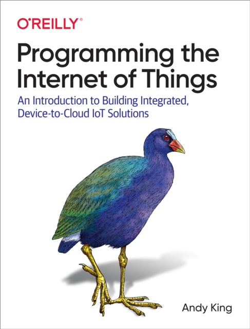 Programming the Internet of Things, PDF eBook