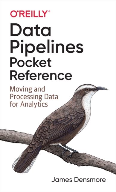 Data Pipelines Pocket Reference, EPUB eBook
