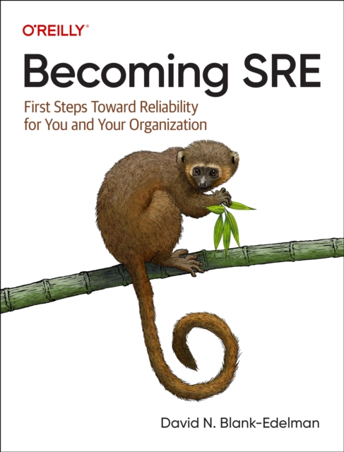 Becoming Sre : First Steps Toward Reliability for You and Your Organization, Paperback / softback Book