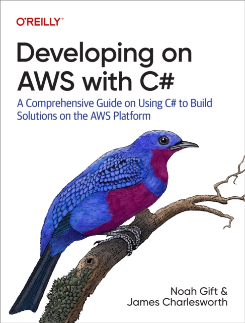 Developing on AWS with C#, EPUB eBook