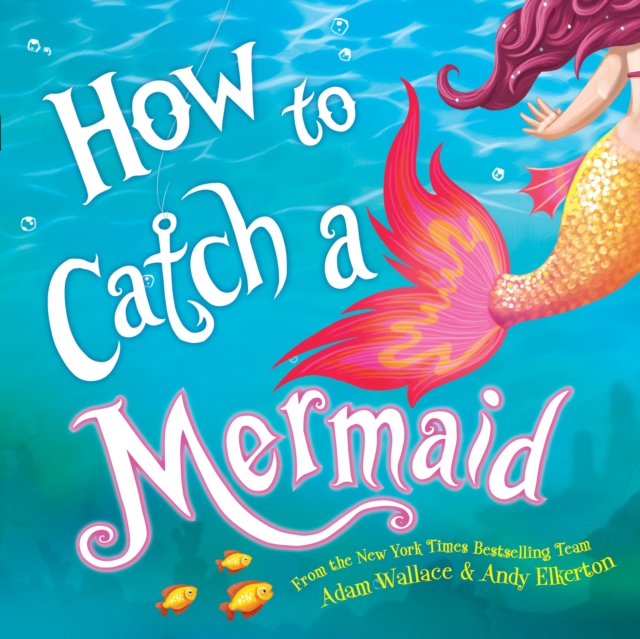 How to Catch a Mermaid, Hardback Book