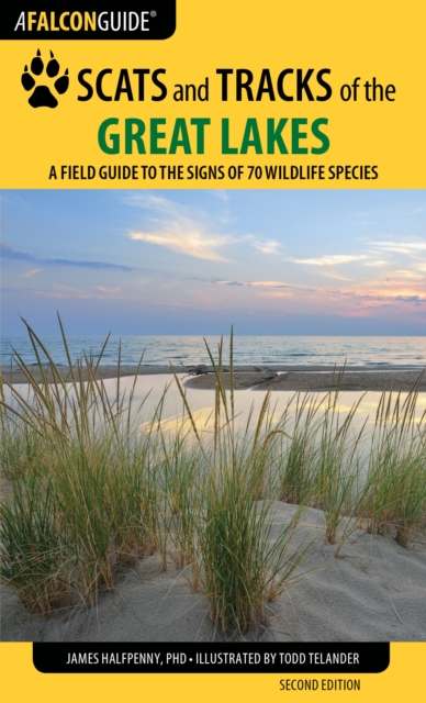 Scats and Tracks of the Great Lakes : A Field Guide to the Signs of 70 Wildlife Species, Paperback / softback Book