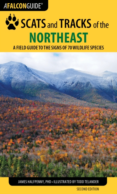 Scats and Tracks of the Northeast : A Field Guide to the Signs of 70 Wildlife Species, Paperback / softback Book