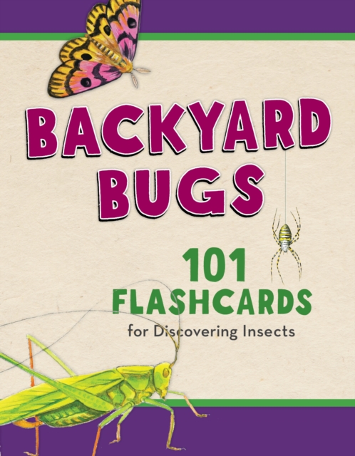 Backyard Bugs : 101 Flashcards for Discovering Insects, Cards Book