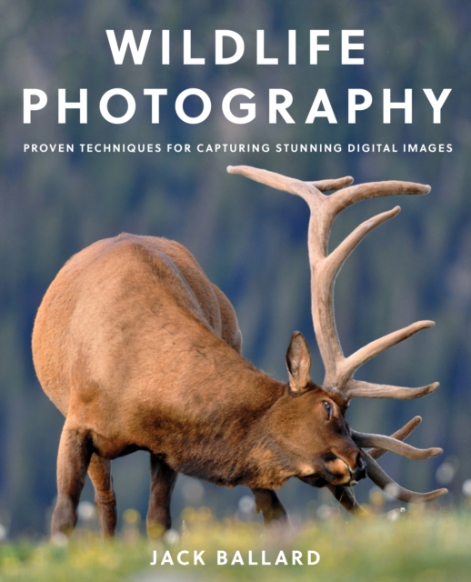 Wildlife Photography : Proven Techniques for Capturing Stunning Digital Images, Paperback / softback Book