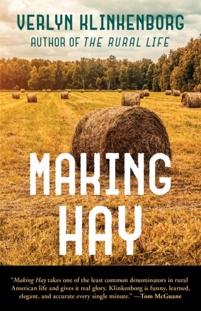 Making Hay, Paperback / softback Book