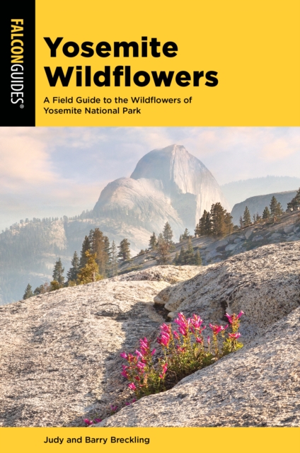 Yosemite Wildflowers : A Field Guide to the Wildflowers of Yosemite National Park, Paperback / softback Book