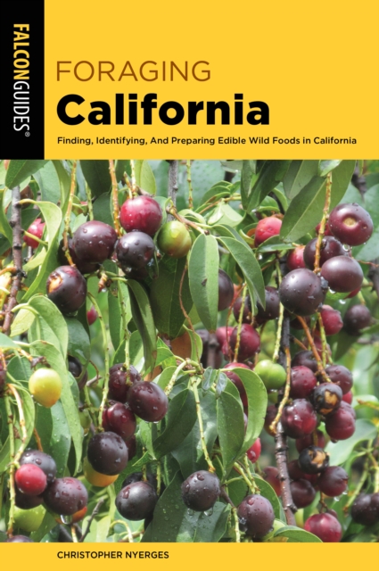 Foraging California : Finding, Identifying, And Preparing Edible Wild Foods In California, Paperback / softback Book