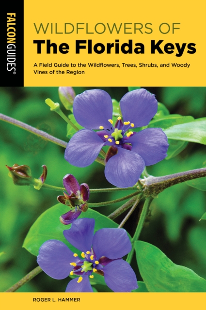 Wildflowers of the Florida Keys : A Field Guide to the Wildflowers, Trees, Shrubs, and Woody Vines of the Region, Paperback / softback Book