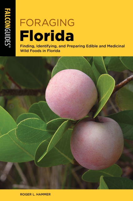 Foraging Florida : Finding, Identifying, and Preparing Edible and Medicinal Wild Foods in Florida, Paperback / softback Book