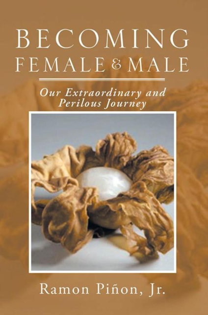 Becoming Female and Male : Our Extraordinary and Perilous Journey, EPUB eBook