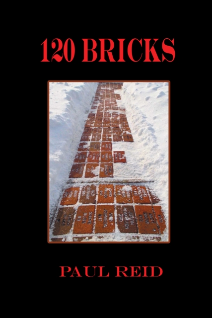 120 Bricks, EPUB eBook