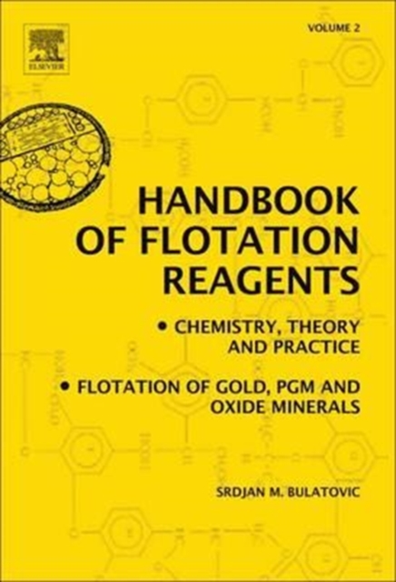 Handbook of Flotation Reagents: Chemistry, Theory and Practice : Volume 2: Flotation of Gold, PGM and Oxide Minerals, Paperback / softback Book