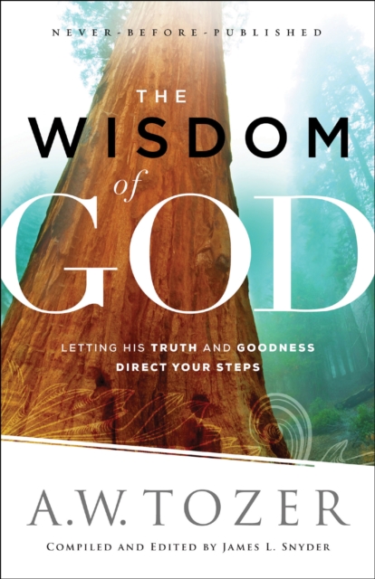 The Wisdom of God : Letting His Truth and Goodness Direct Your Steps, EPUB eBook