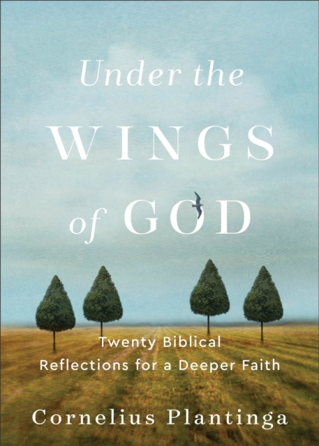 Under the Wings of God : Twenty Biblical Reflections for a Deeper Faith, EPUB eBook