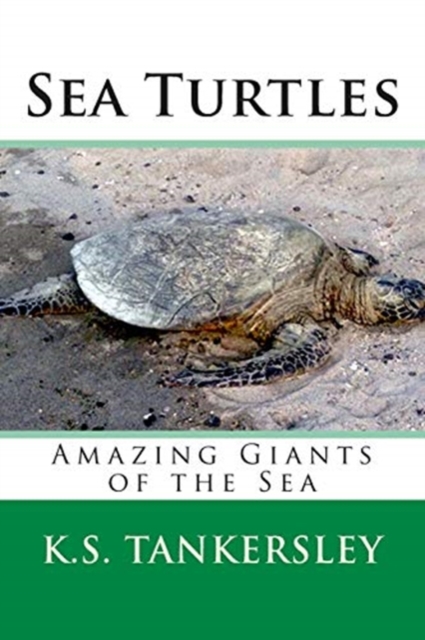 Sea Turtles : Amazing Giants of the Sea, Paperback / softback Book