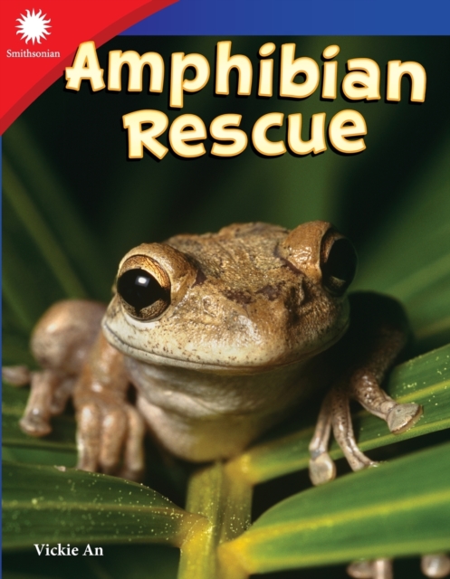 Amphibian Rescue, Paperback / softback Book