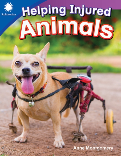 Helping Injured Animals, PDF eBook