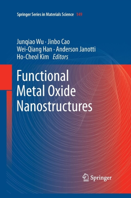 Functional Metal Oxide Nanostructures, Paperback / softback Book