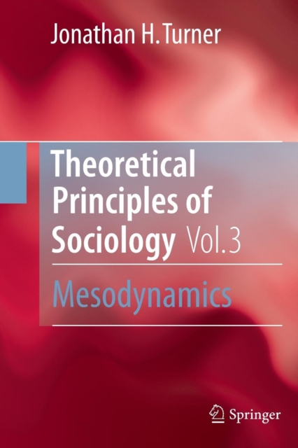 Theoretical Principles of Sociology, Volume 3 : Mesodynamics, Paperback / softback Book
