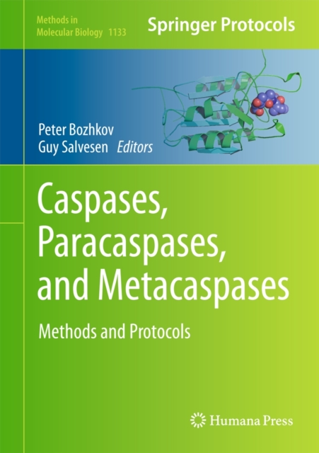 Caspases,Paracaspases, and Metacaspases : Methods and Protocols, Hardback Book