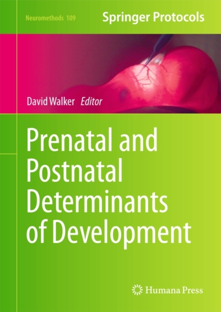 Prenatal and Postnatal Determinants of Development, Hardback Book