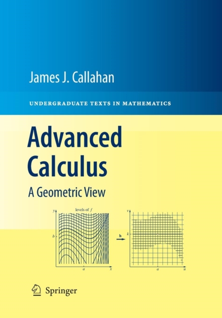 Advanced Calculus : A Geometric View, Paperback / softback Book