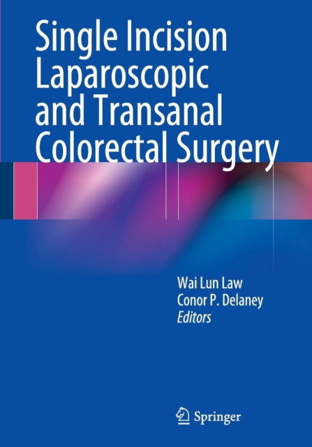 Single Incision Laparoscopic and Transanal Colorectal Surgery, Paperback / softback Book