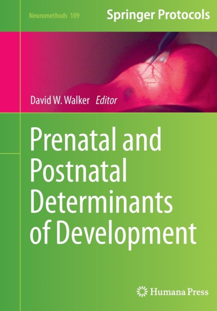 Prenatal and Postnatal Determinants of Development, Paperback / softback Book