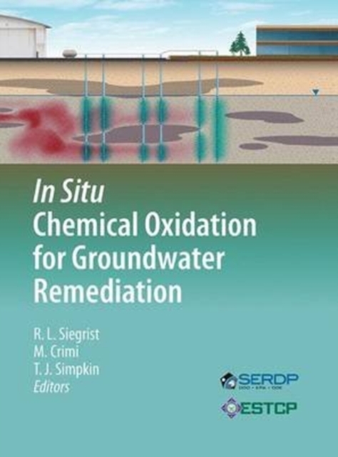 In Situ Chemical Oxidation for Groundwater Remediation, Paperback / softback Book
