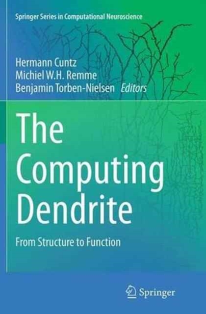 The Computing Dendrite : From Structure to Function, Paperback / softback Book