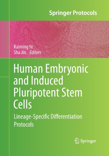 Human Embryonic and Induced Pluripotent Stem Cells : Lineage-Specific Differentiation Protocols, Paperback / softback Book